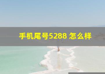 手机尾号5288 怎么样